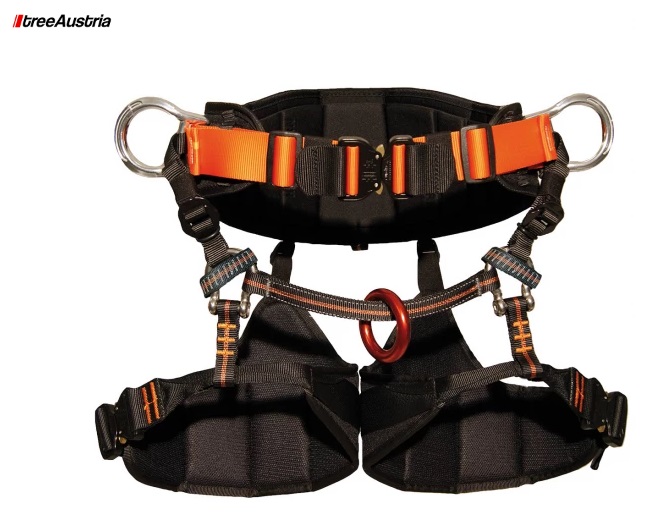 arnes treeaustria 3_2